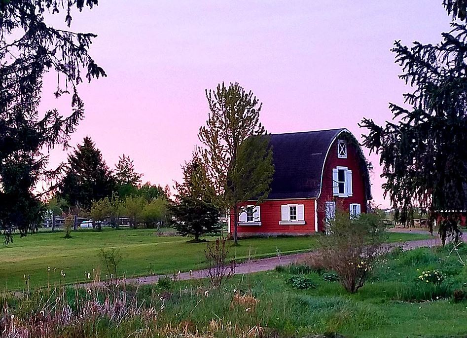 Shaggy Dog Farm - Barn